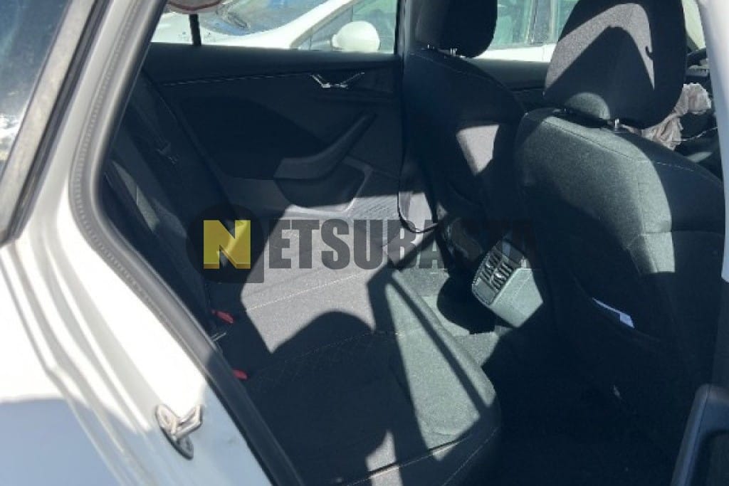 Skoda Kamiq 1.0 TSI 81 kW DSG 2021