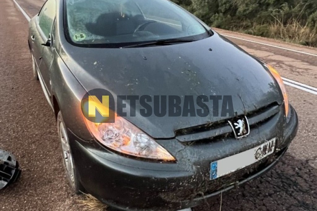 Peugeot 307 CC 2.0 16V 2004