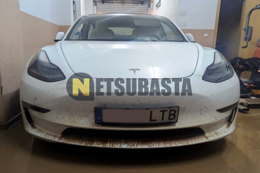 Tesla Model 3 Tracción integral Gran autonomía 2021