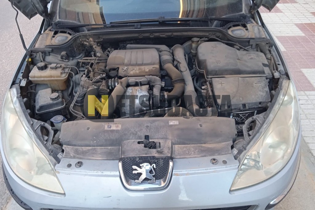 Peugeot 407 HDi 1.6 FAP 2005