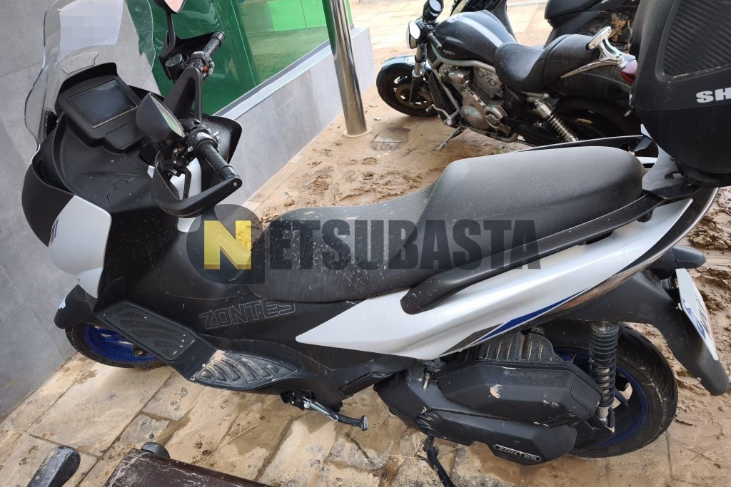 Subasta de ZONTES E125 2024