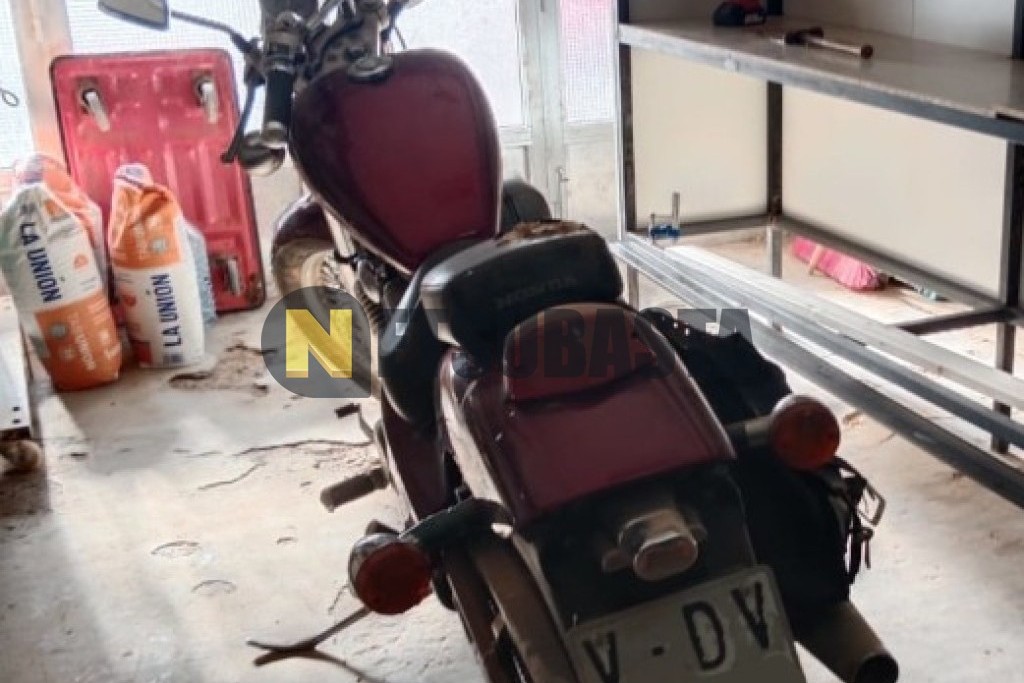 Honda VT 600 C Shadow 1991