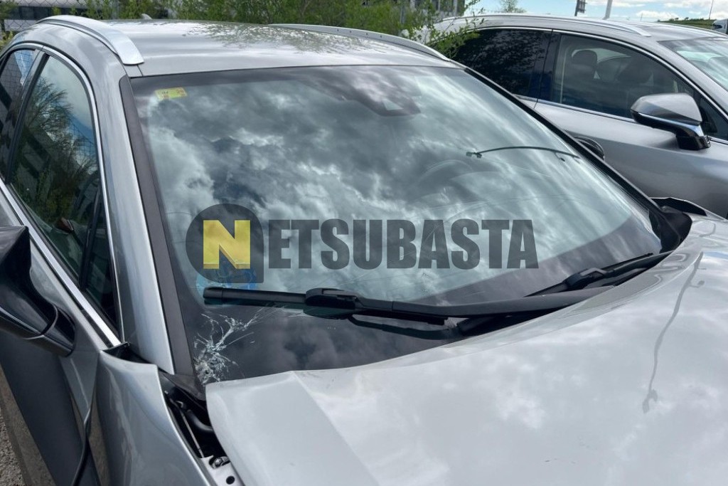 Lexus UX 250h 2020