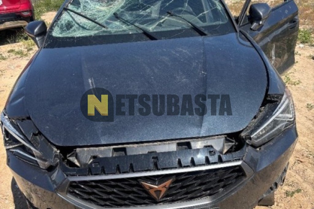 Cupra León 1.5 eTSI DSG 2024