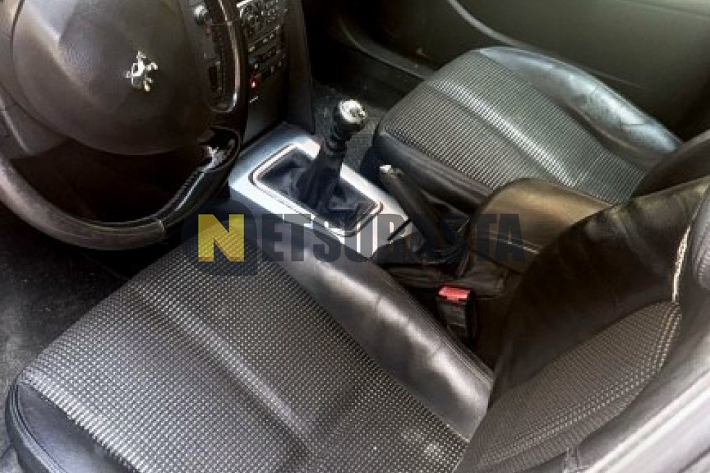Peugeot 407 2.0 HDi 2004