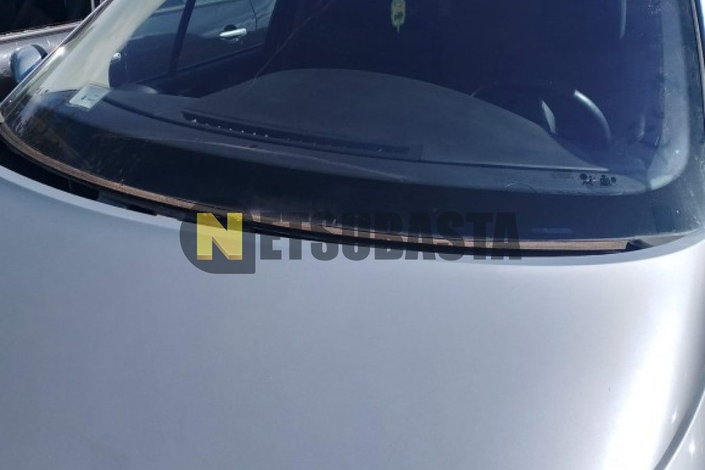 Renault Grand Scenic 1.9 dCi 2005