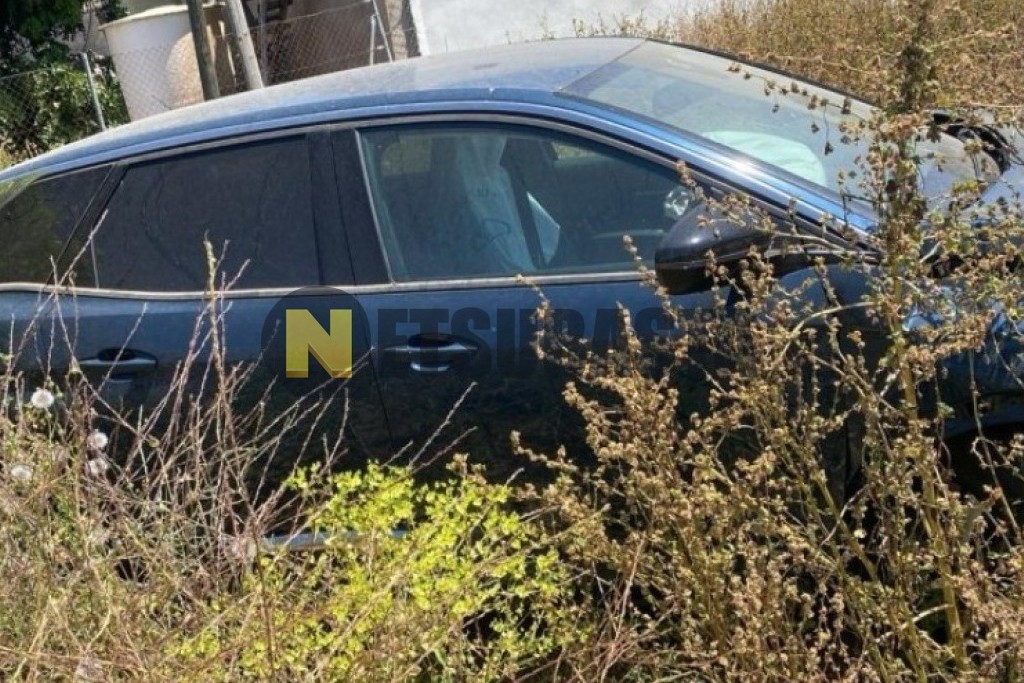 Peugeot 3008 1.2 PureTech 2022