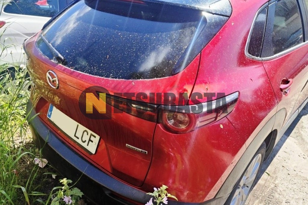 Mazda CX-30 2.0 SKYACTIV-X 2019