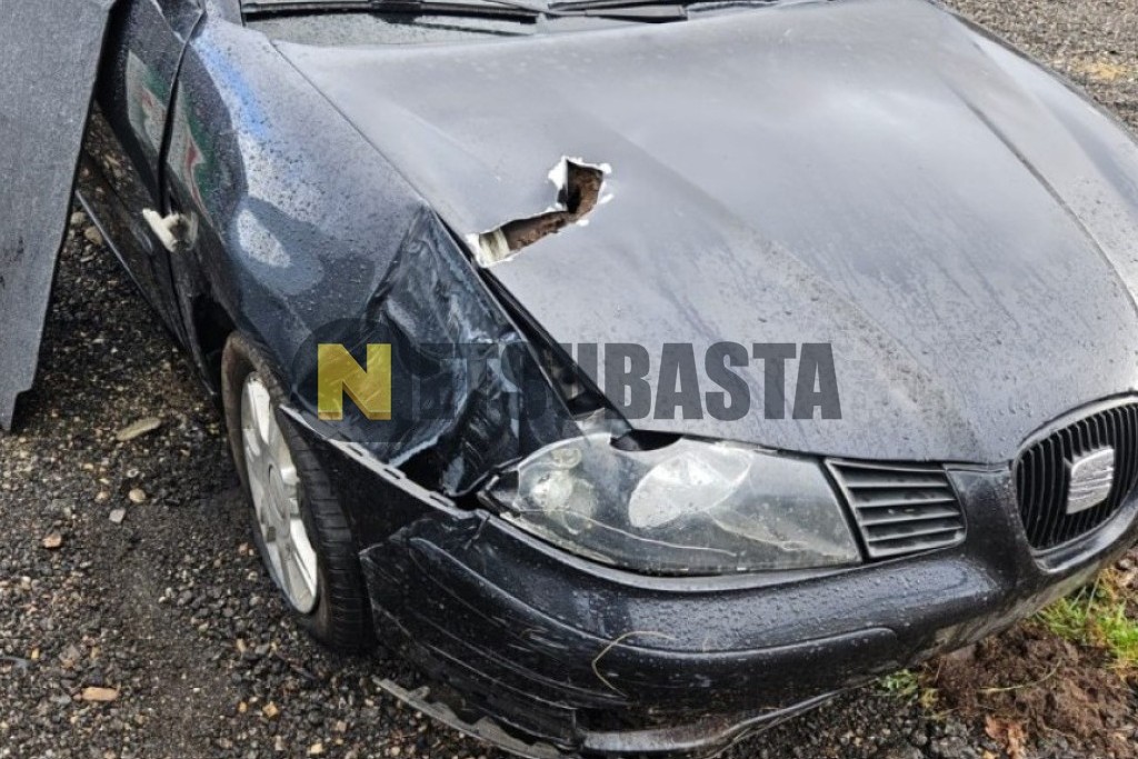 Seat Ibiza 1.9 SDi 2005