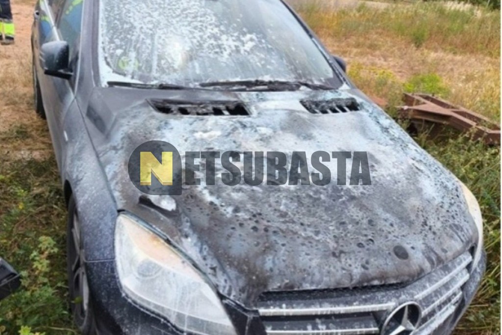 Mercedes-Benz R 300 CDI 2011