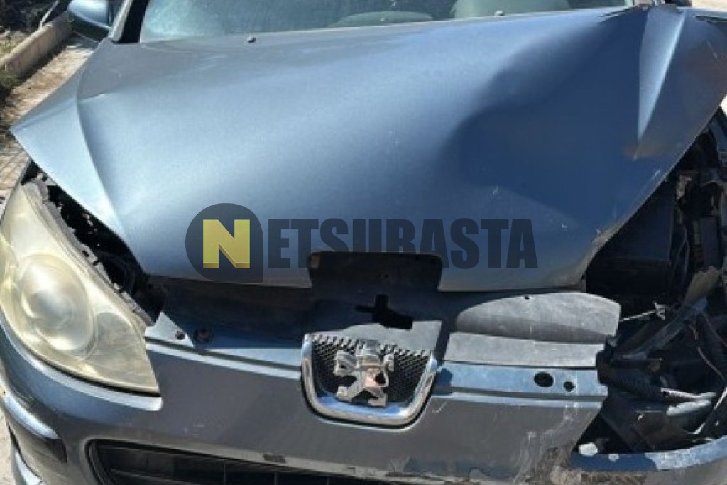 Peugeot 407 ST 2.0 HDi FAP 2005