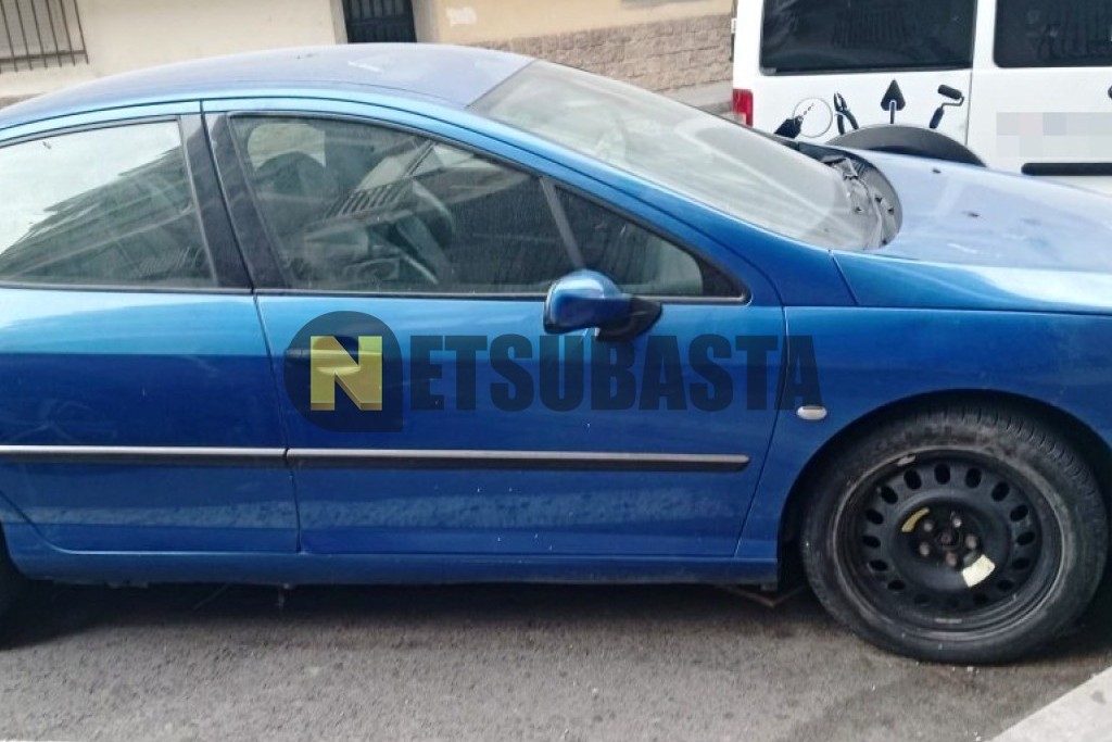 Peugeot 407 ST 2.0 HDi FAP 2004