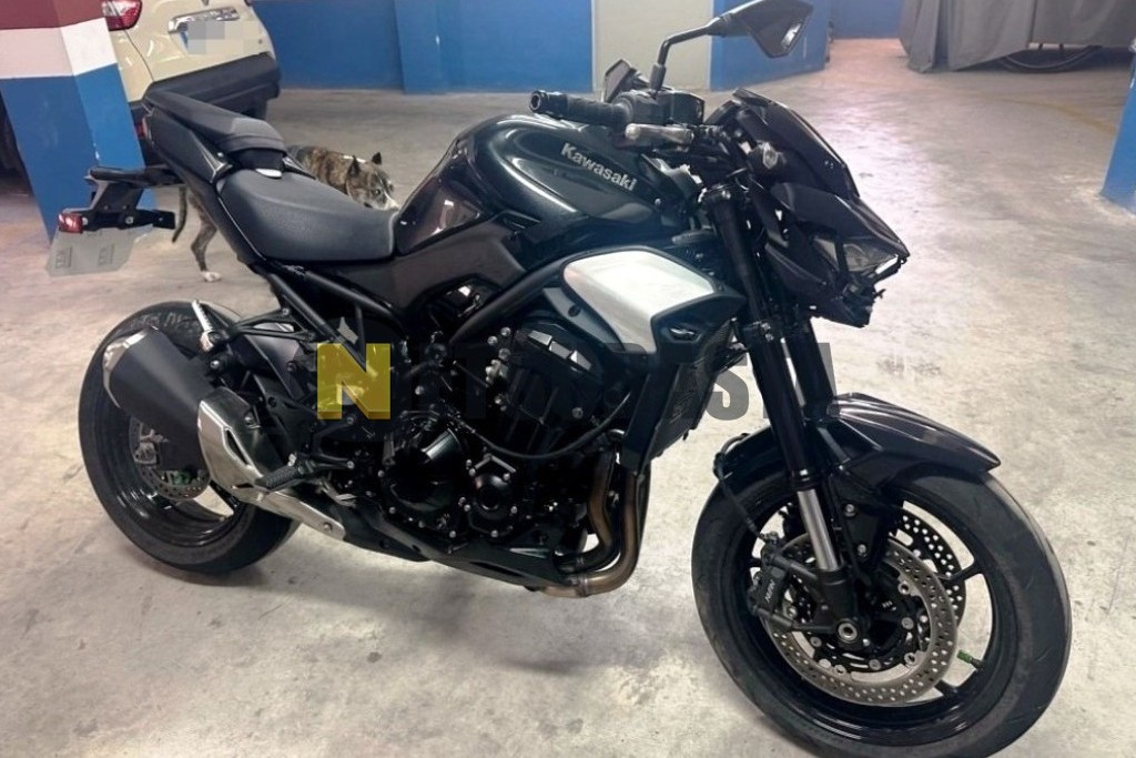 Kawasaki Z 900 2025