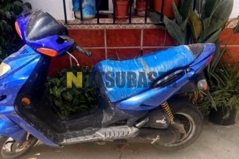 Yamaha Majesty 125 2004