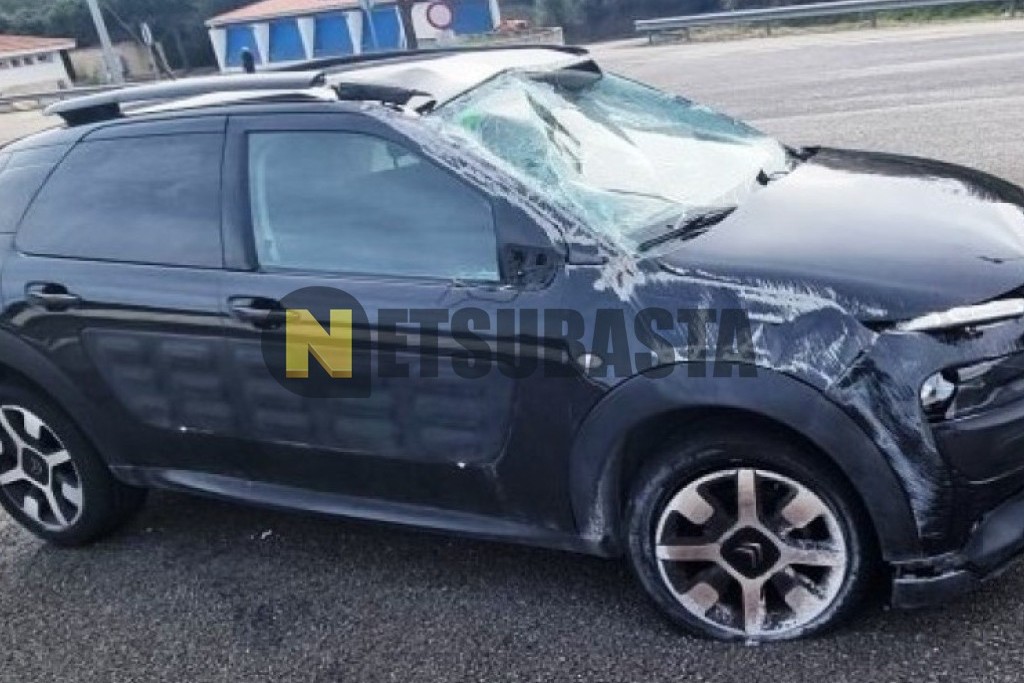 Citroën C4 Cactus 1.6 BlueHDi 2016