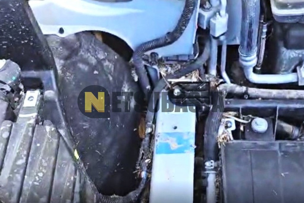 Tesla Model X 90D 7 plazas 2016