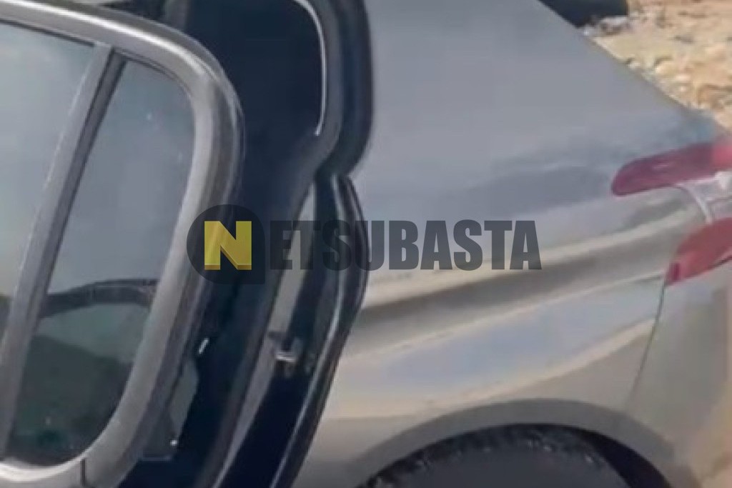 Peugeot 308 1.2 PureTech 2019
