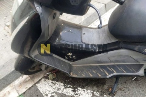 Renault T High 2024