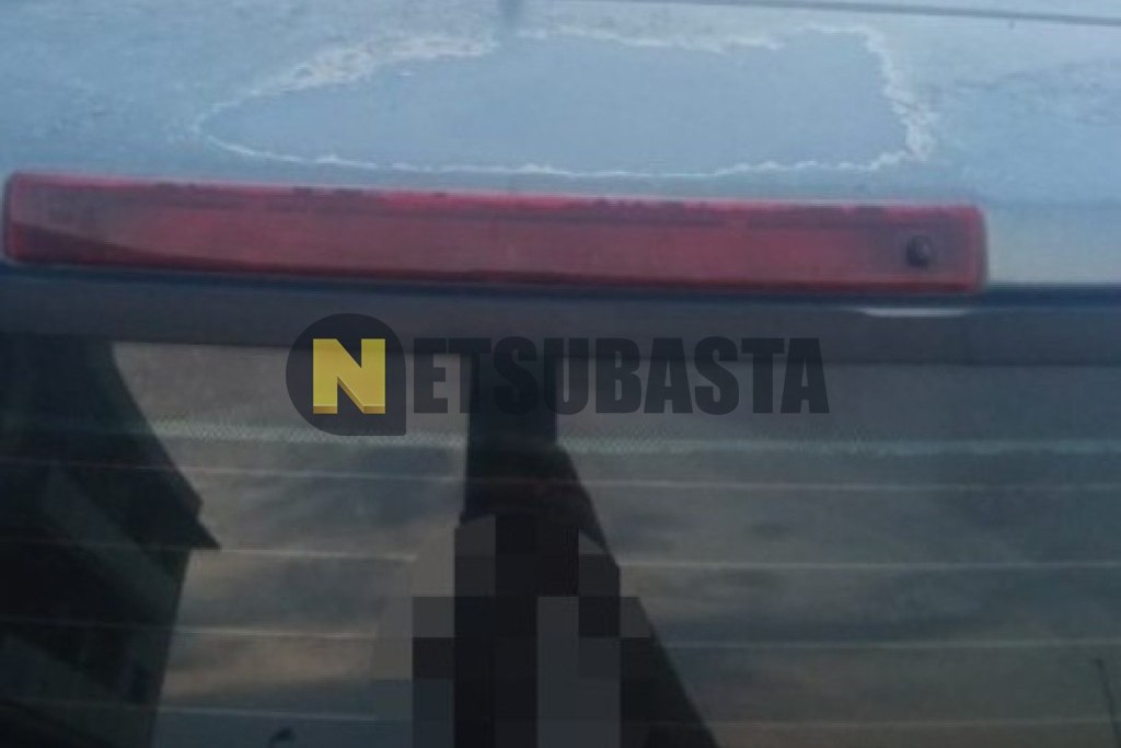 Renault Grand Scenic 1.9 dCi 2005