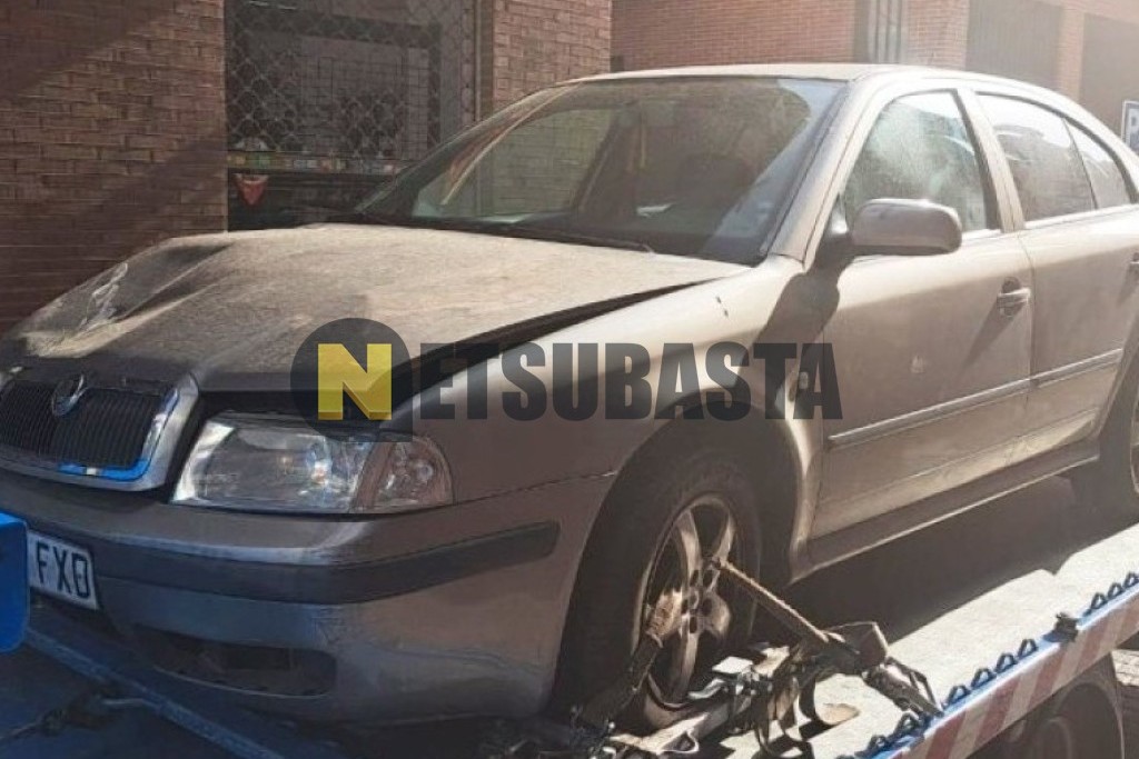 Skoda Octavia 1.9 TDI 2007