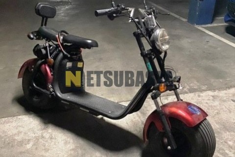 Honda SZX 50S 2001