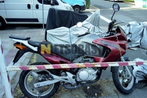 Suzuki VL 1500 Intruder 2001