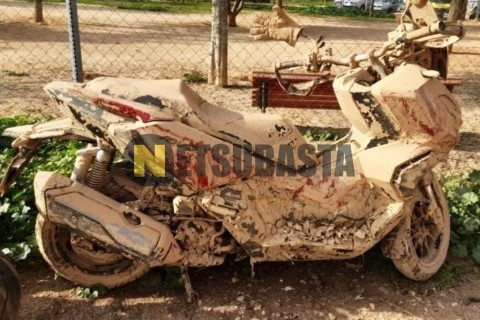 Honda SZX 50S 2001
