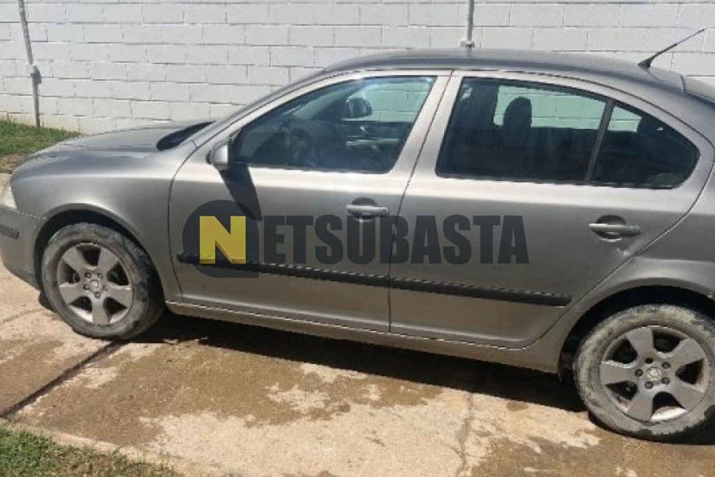 Skoda Octavia 1.9 TDI 2007