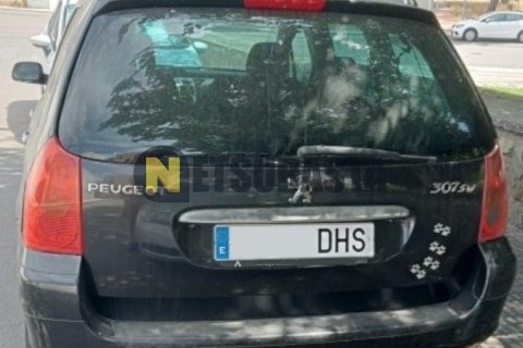 Peugeot SATELIS 125 4V 2007