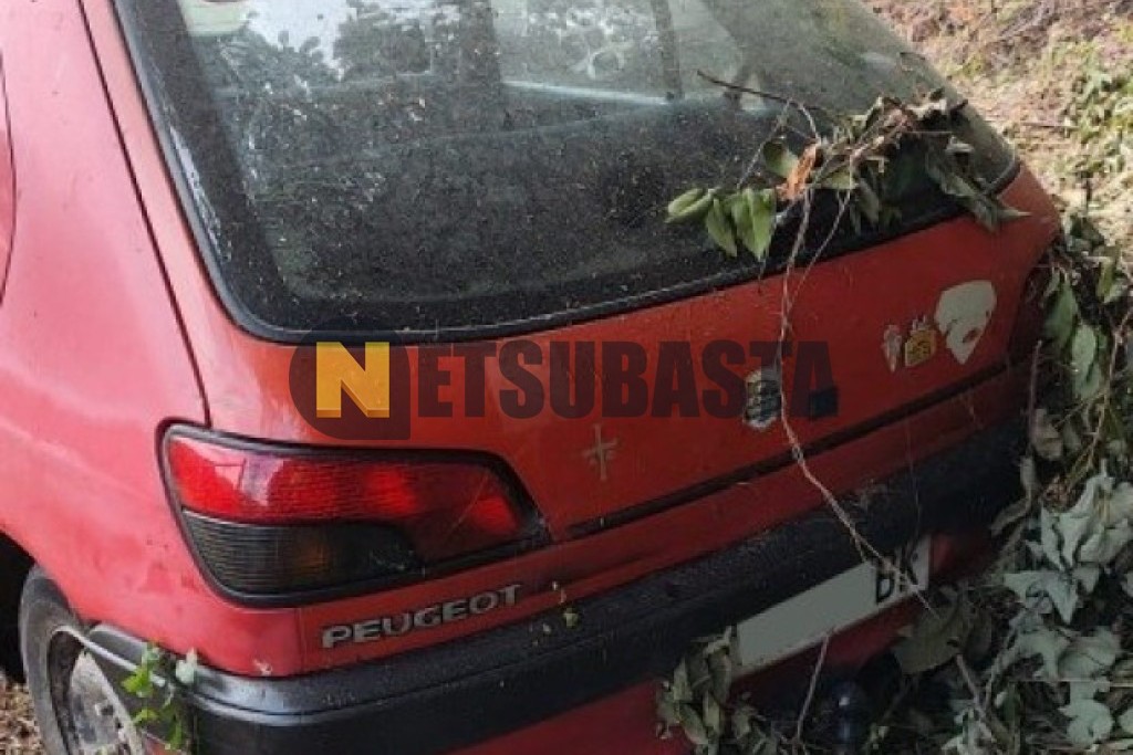 Peugeot 306 1.9 D 1994