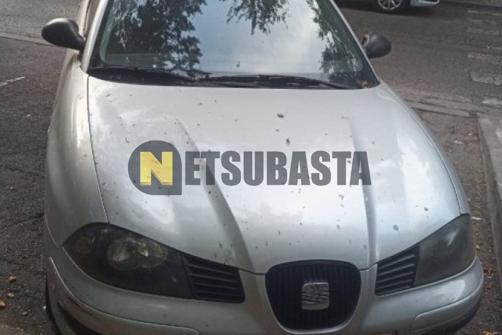 Seat Ibiza 1.9 SDi 2002