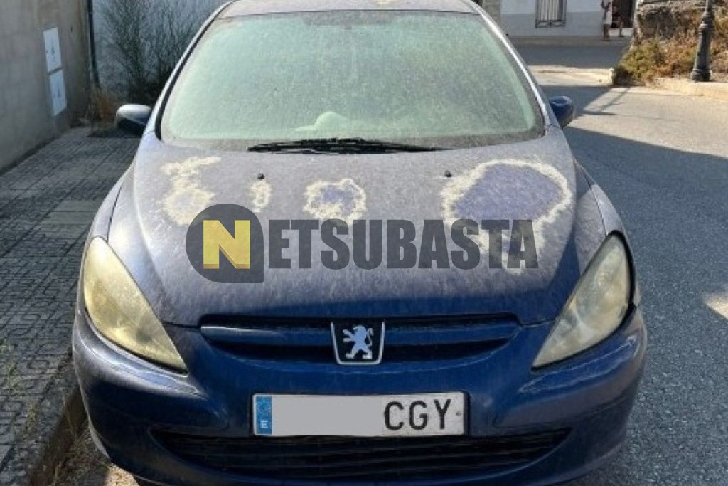 Peugeot 307 2.0 HDi 2003