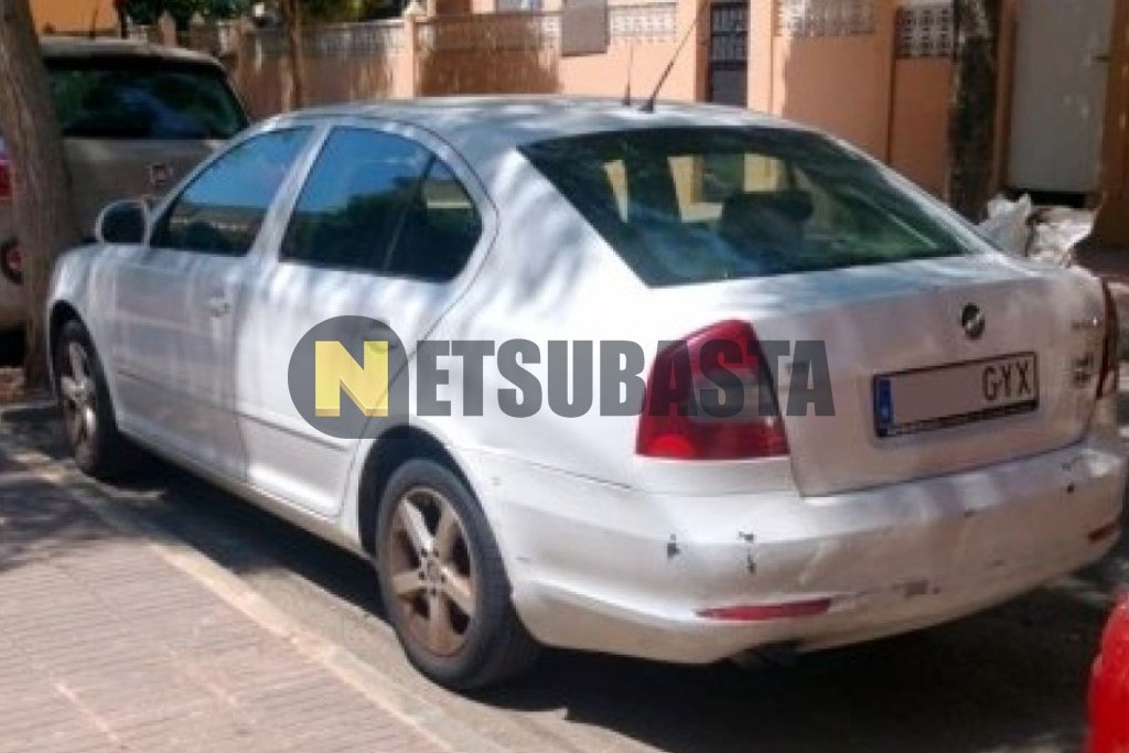 Skoda Octavia 1.9 TDI 2010