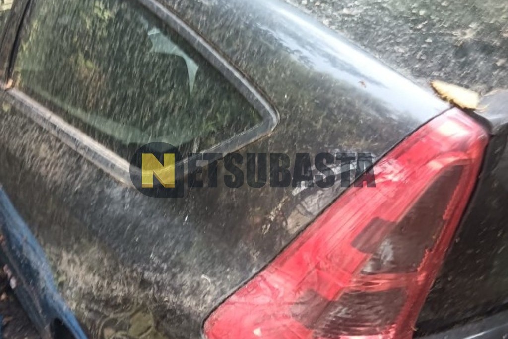 Citroën C4 Coupé 2.0 HDi 2004