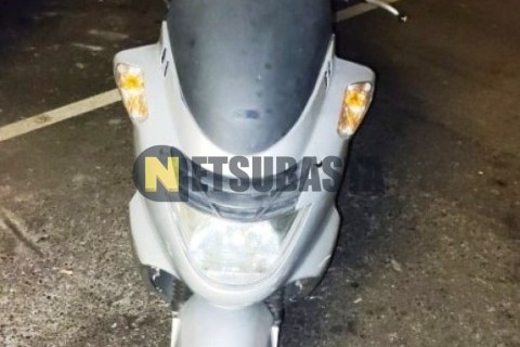 Yamaha Majesty 250 2004