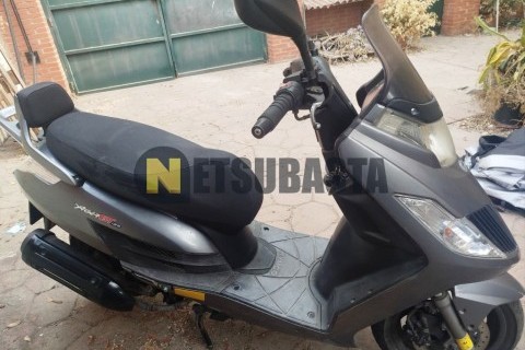 ZONTES M 310 2022