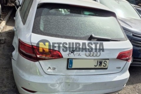 ZONTES M 310 2022
