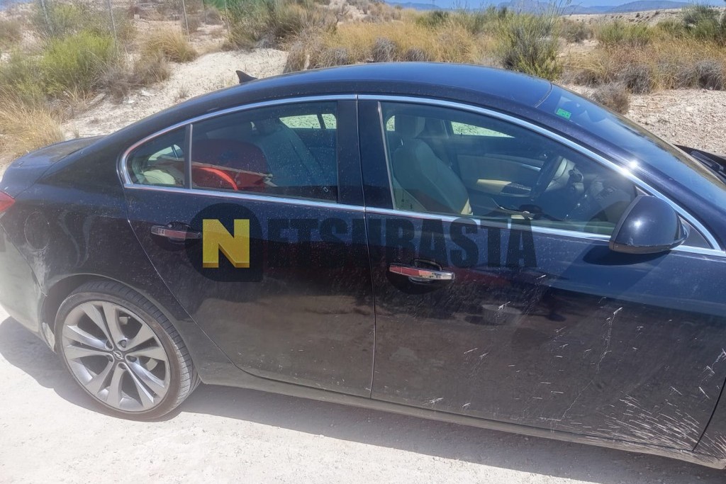 Opel Insignia 2.0 CDTI ecoFLEX 2009