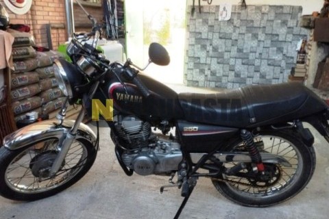 ZONTES M 310 2022