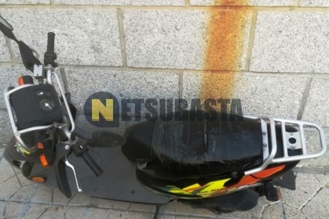 ZONTES M 310 2022