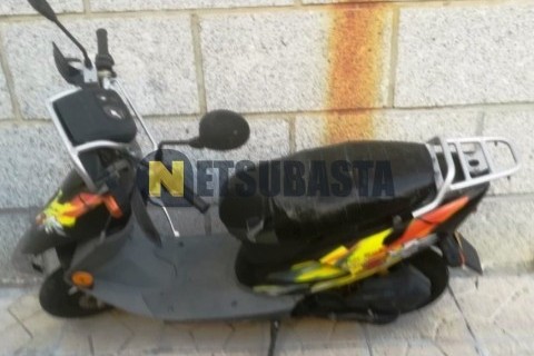 ZONTES M 310 2022