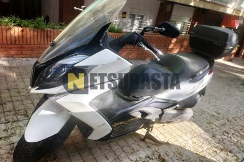 ZONTES M 310 2022