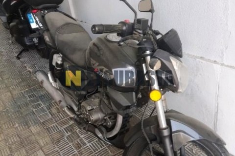 ZONTES M 310 2022