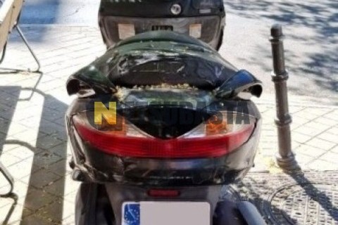 Ford F-Max 500 2021