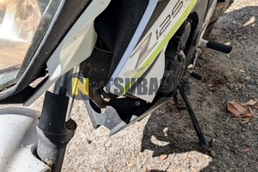 Kawasaki Z 125 2019