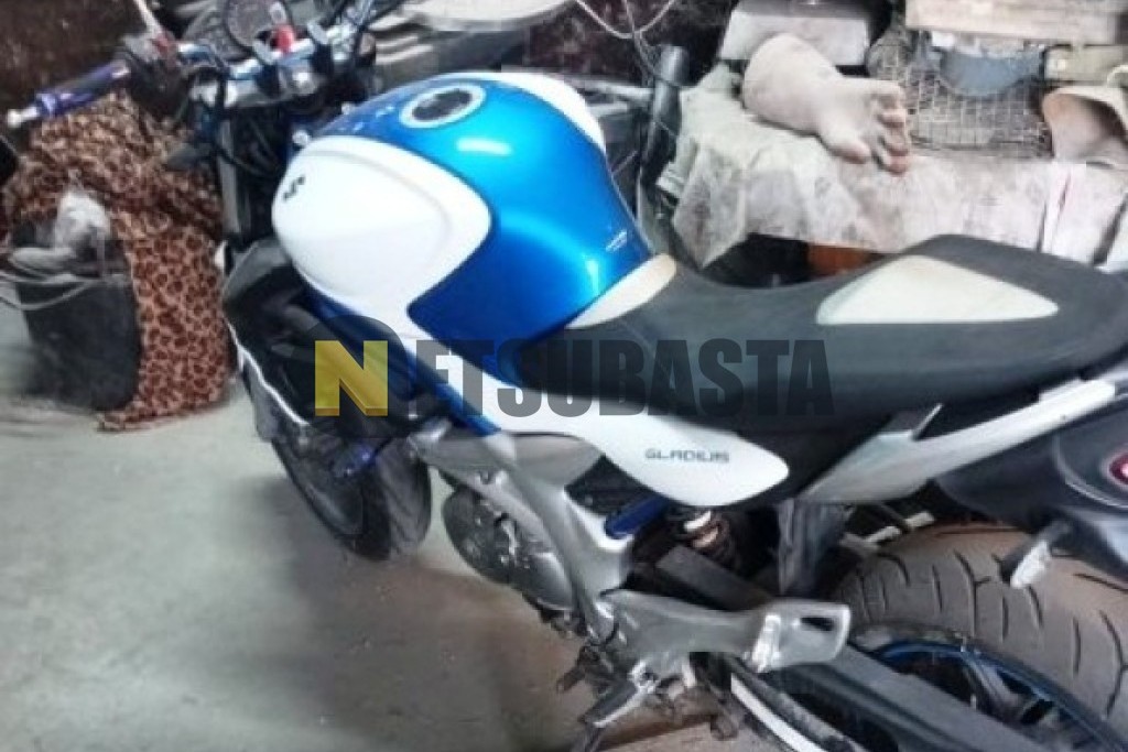 Suzuki Gladius 650 2009