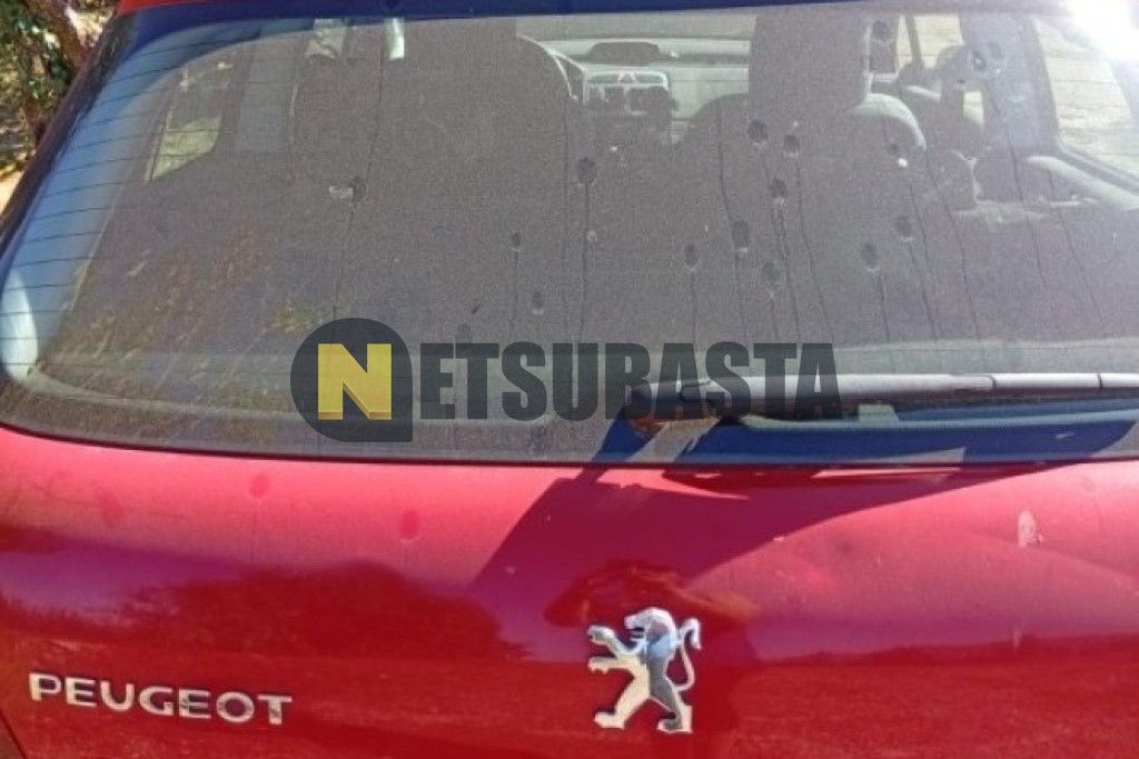 Peugeot 307 2.0 HDi 2004
