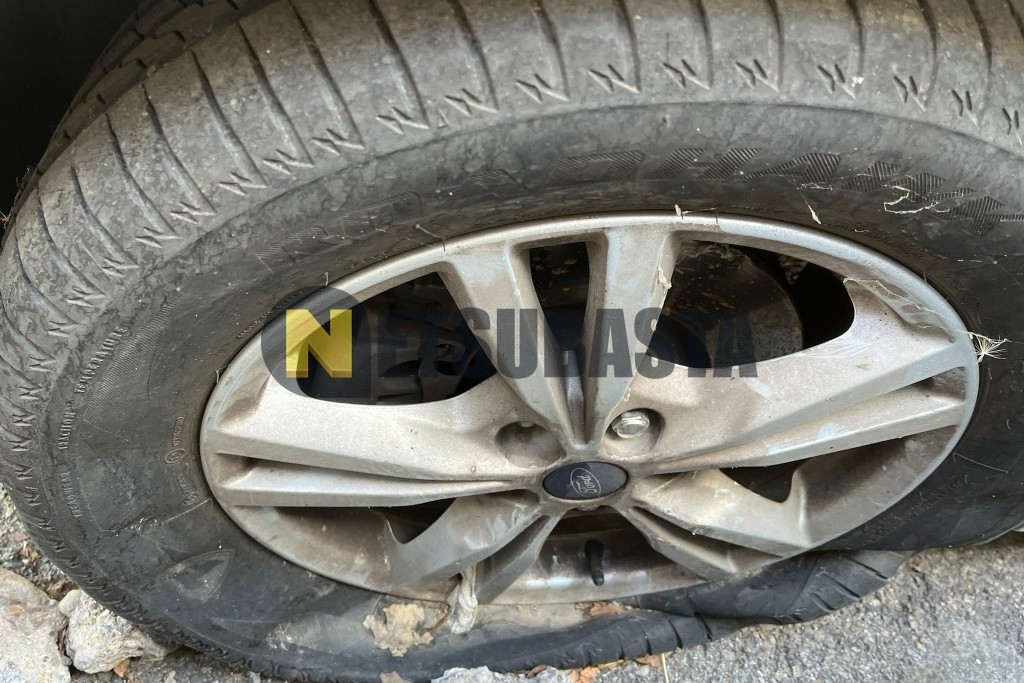 Ford S-MAX 2.0 EcoBlue 2019