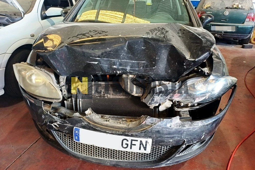 Seat Leon 1.9 TDI DPF 2008