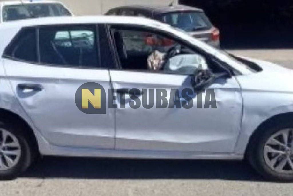 Skoda Fabia 1.0 TSI 2024